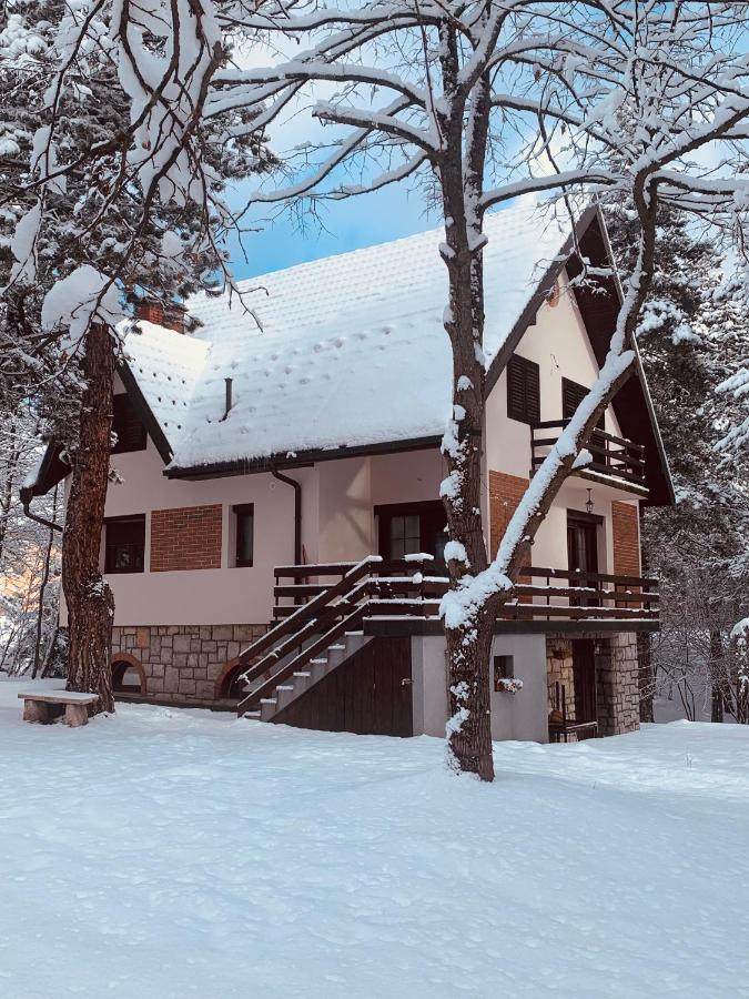 Vila Lucic Zlatibor Ngoại thất bức ảnh