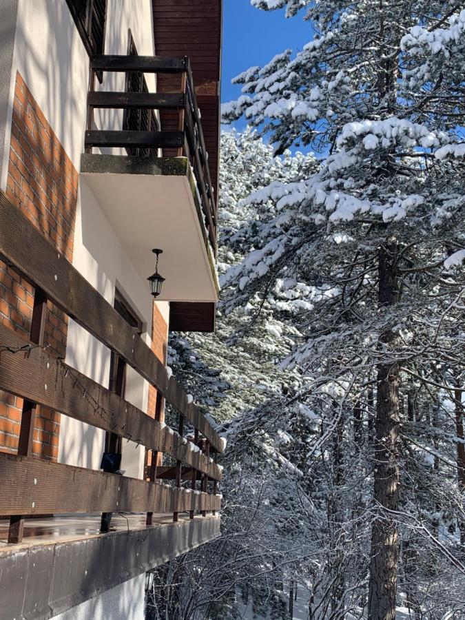 Vila Lucic Zlatibor Ngoại thất bức ảnh