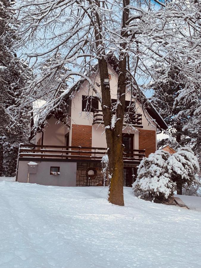 Vila Lucic Zlatibor Ngoại thất bức ảnh